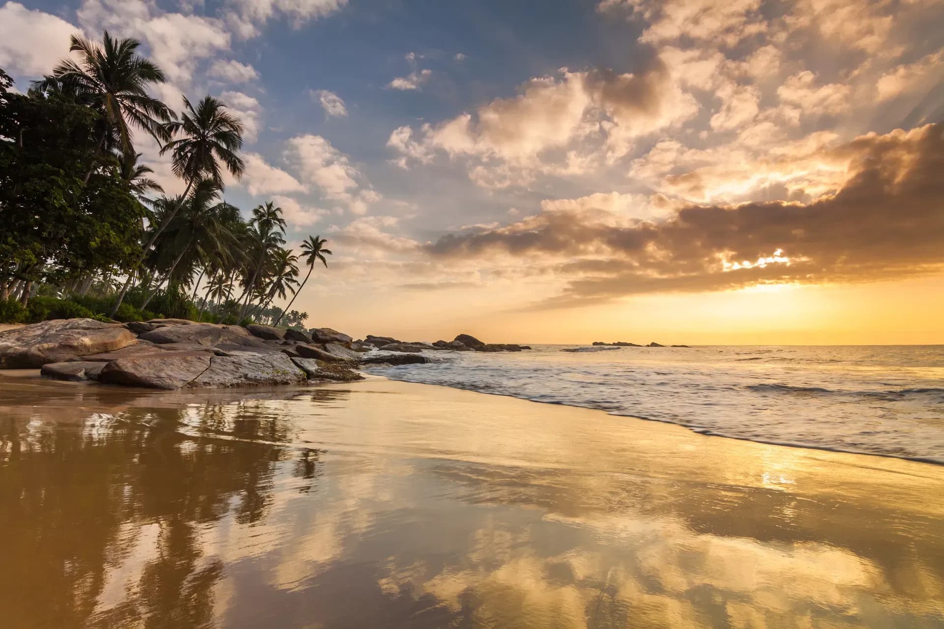Sunset on a beach with coconut palms in Sri Lanka